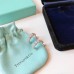 Tiffany earrings Ear-nail High Quality  (only 1 piece for each account)