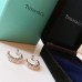 Tiffany earrings Ear-nail High Quality  (only 1 piece for each account)