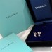 Tiffany Earstuds Atlas