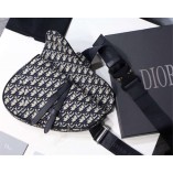 Dior Saddle 20x28.5x5cm (Best Quality replica)
