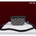 Dior saddle 19.5x13x4.3cm