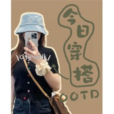 Designer Summer Hat New Shebag Quality Standard 
