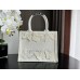 Dior book tote oblique  26.5*21*14cm small white butterfly