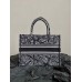 Dior book tote oblique  26.5*21*14cm small 