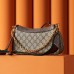 Gucci Ophidia 25*15.5*6cm