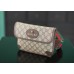 Gucci Tote  GG Superme 20x13x2.5cm