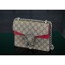 Gucci Dionysus red 20x15x5cm