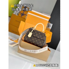 Louis Vuitton CLUNY  M46055 20x16x7.5cm