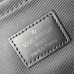 Louis Vuitton FORSHEET M81569 30x21x2cm