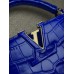 Louis Vuitton Capucines Mini M48865 27x18x9cm blue 