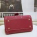 DELVAUX Brillant  Surpiqué Rodéo Calf Size 20*10*16Cm