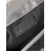 Balenciaga Spring 24  Le Cagole 22.8 x 12.9 x 4cm silver