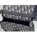 Dior  Gallop 20.5 x 16 x 5cm