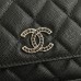 Chanel WOC 19.5*12*3.5cm