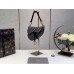 Dior saddle bag 25cm