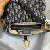 Dior saddle bag 25cm