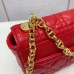 Dior Caro bag 20/12/7cm 