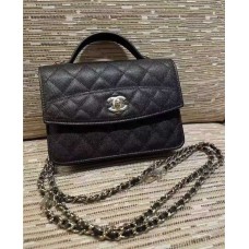 Chanel Hobo 25C  WOC  2025 new 
