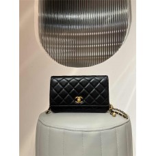 Chanel Wallet on Chain WOC bag 19.2cm 2025 new 