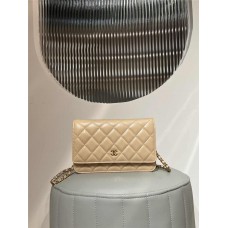 Chanel Wallet on Chain WOC bag 19.2cm 2025 new 