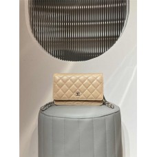 Chanel Wallet on Chain WOC bag 19.2cm 2025 new 