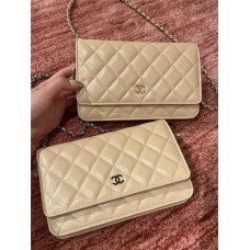 Chanel Wallet on Chain WOC bag 19.2cm 2025 new 
