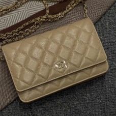 Chanel Wallet on Chain WOC bag 19.2cm 2025 new 