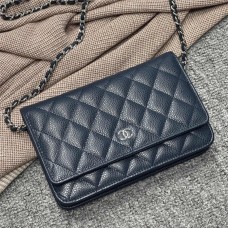 Chanel Wallet on Chain WOC bag 19.2cm 2025 new 