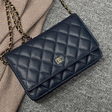 Chanel Wallet on Chain WOC bag 19.2cm 2025 new 