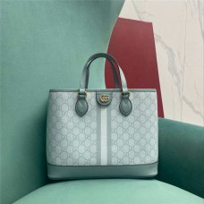 Gucci  Ophidia  Model 765043   Size 31x 25x 13cm 2025 new 