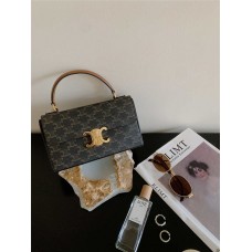 Celine BOX TRIOMPHE  Size 22x13.5x6  cm   Model:  199992 2025 new 