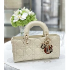 Dior D-Joy 22cm 2025 new 