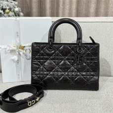 Dior DS Sire 30cm 2025 new 