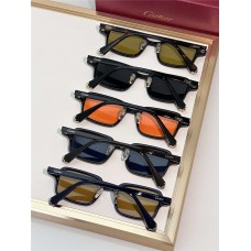 Celine Sunglasses new 