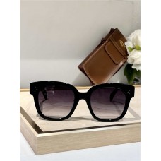 Celine Sunglasses new 
