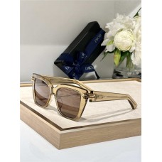 Dior Sunglasses new 
