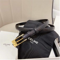Celine Belts new 