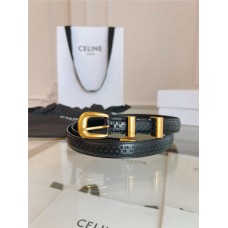 Celine Belts new 