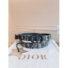 Dior Belts new 