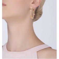 Cartier Jewelry new 