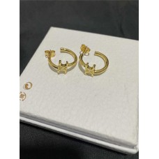 Celine Jewelry new 