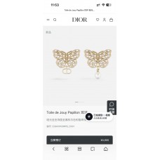 Dior Jewelry  new 