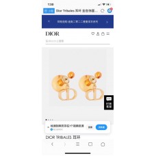 Dior Jewelry  new 