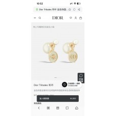 Dior Jewelry  new 