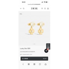 Dior Jewelry  new 