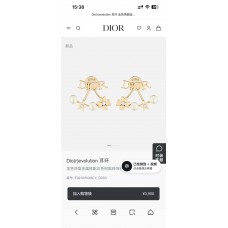 Dior Jewelry  new 