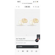 Dior Jewelry  new 