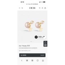 Dior Jewelry  new 