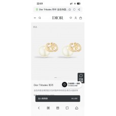 Dior Jewelry  new 