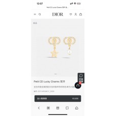 Dior Jewelry  new 